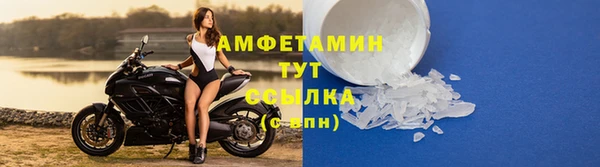 СК Елизово