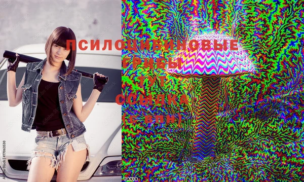 амфетамин Ельня