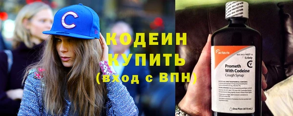 гидра Елабуга