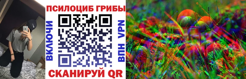 наркотики Кызыл Псилоцибиновые грибы Magic Shrooms