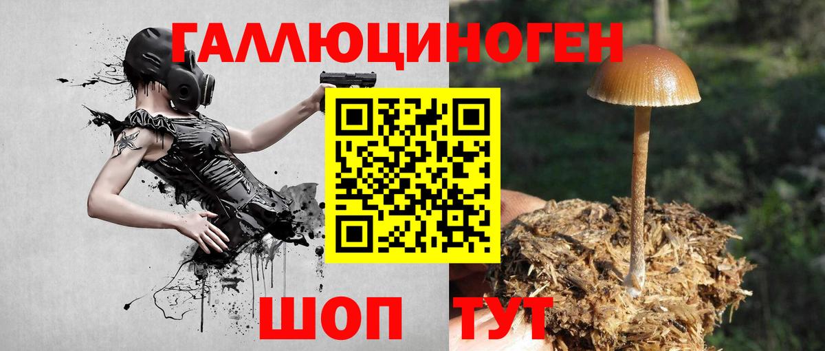 Псилоцибиновые грибы Psilocybine cubensis  Вход с VPN  дарнет шоп  Псилоцибиновые грибы мухоморы  Кызыл 